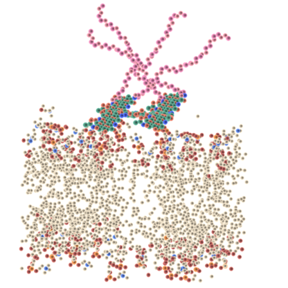 Molecular illustration of a cell membrane