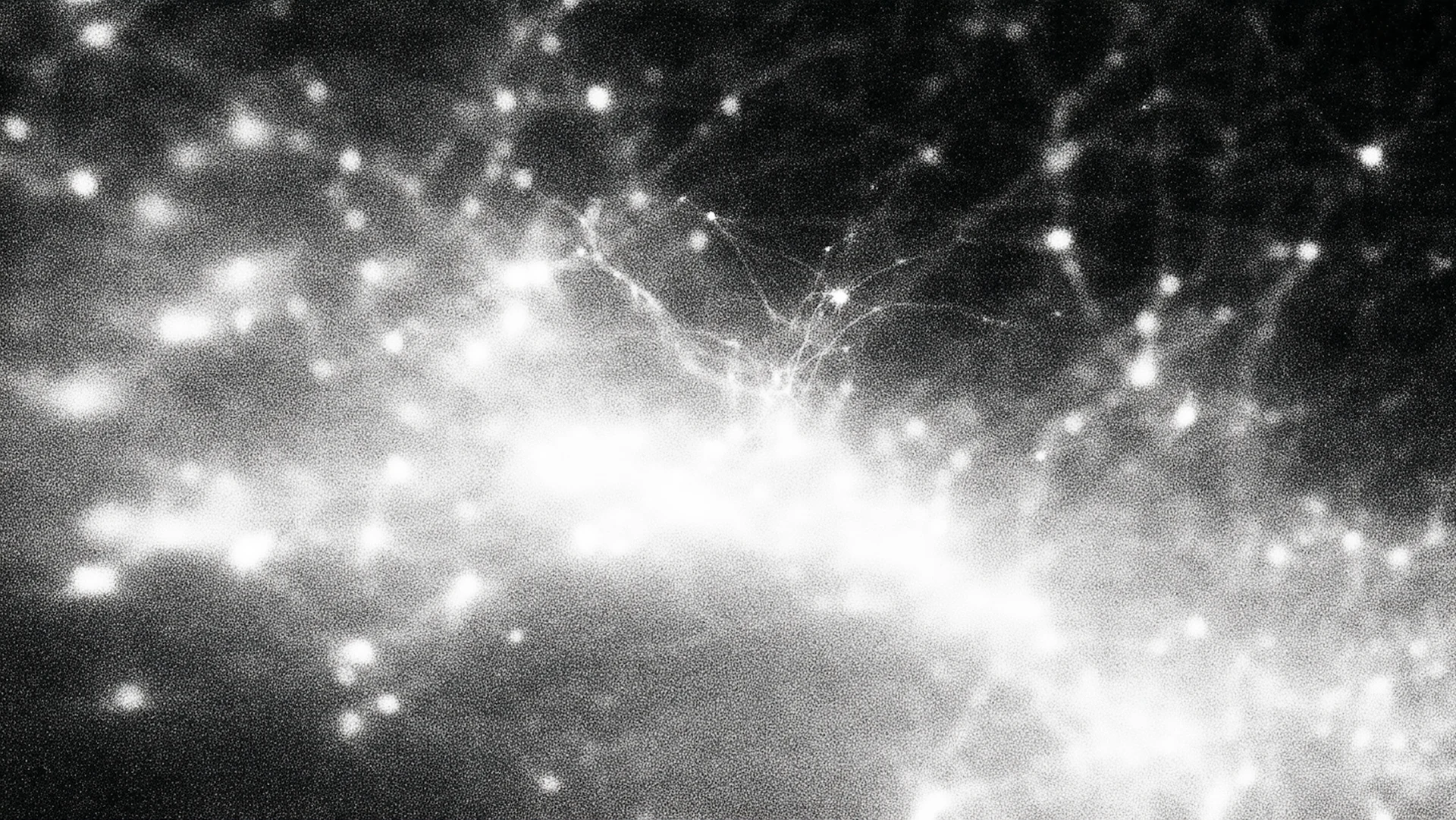 An abstract illustration of luminous neural connections.